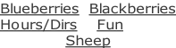 Blueberries  Blackberries Hours/Dirs    Fun Sheep